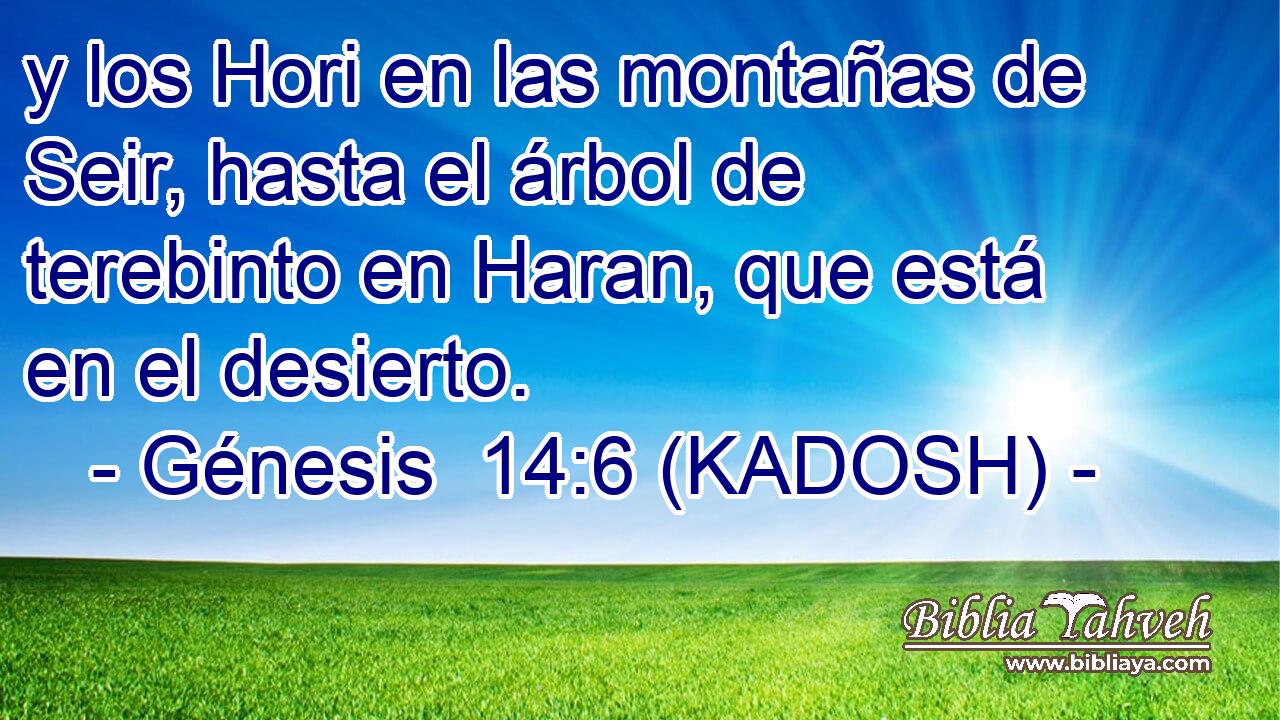  y los Hori en las montañas de Seir, hasta el árbol de terebinto en Haran, que está en el desierto. 