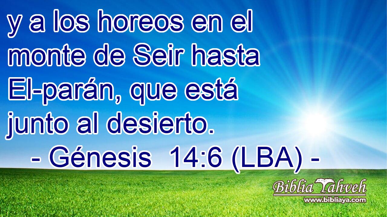 y a los horeos en el monte de Seir hasta El-parán, que está junto al desierto.