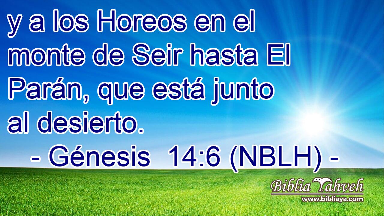 y a los Horeos en el monte de Seir hasta El Parán, que está junto al desierto. 