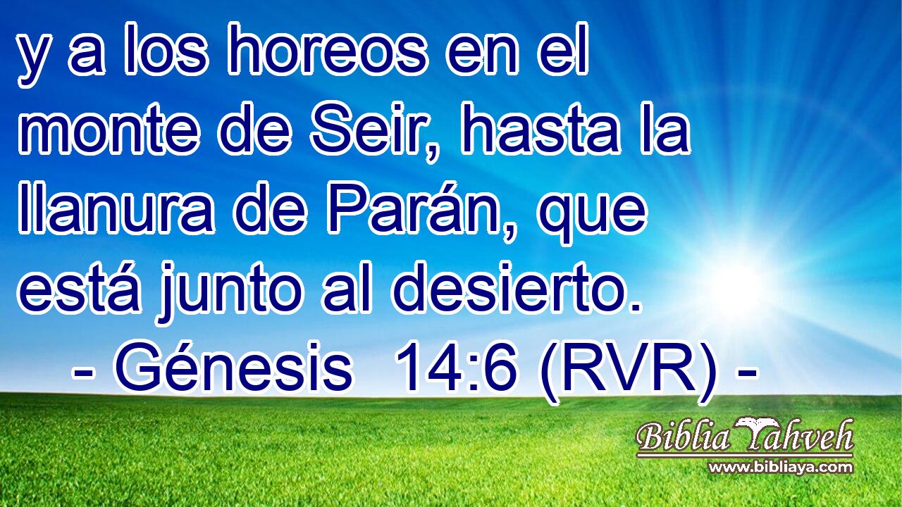 y a los horeos en el monte de Seir, hasta la llanura de Parán, que está junto al desierto.