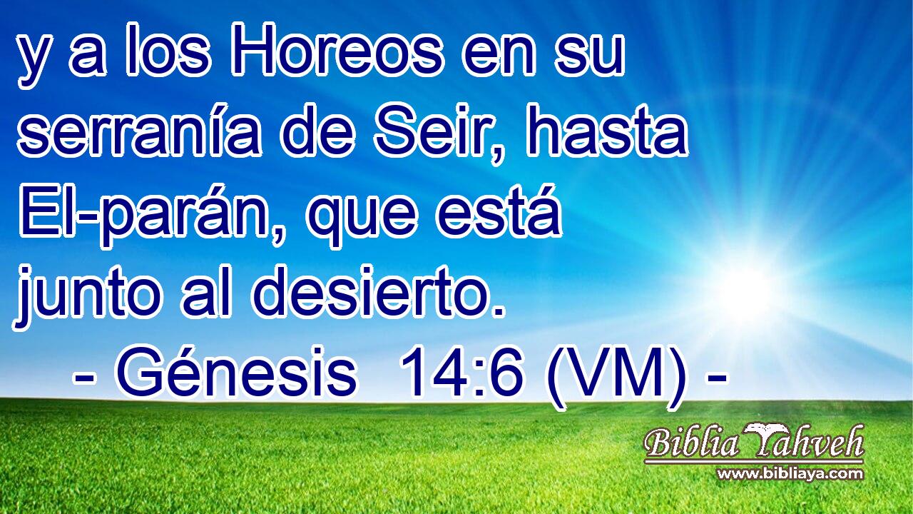  y a los Horeos en su serranía de Seir, hasta El-parán, que está junto al desierto. 