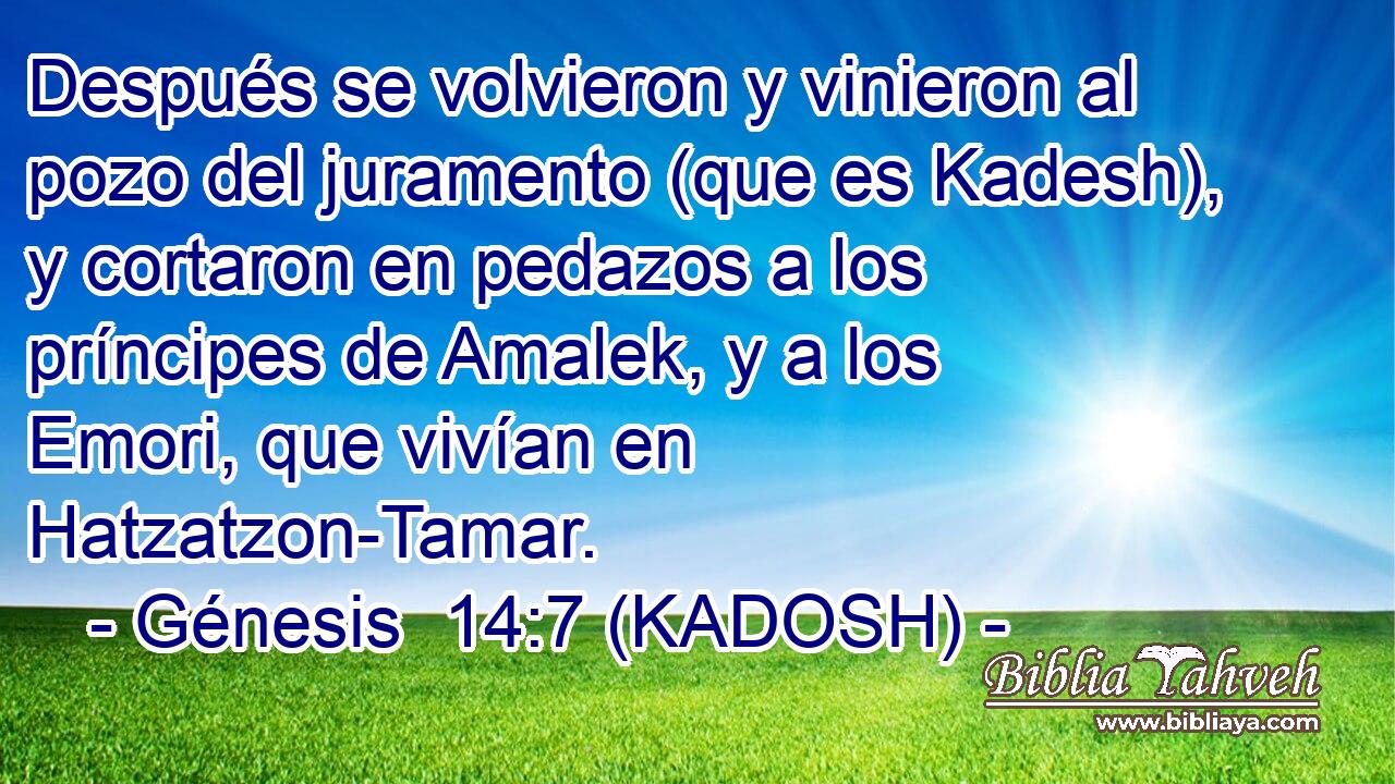  Después se volvieron y vinieron al pozo del juramento (que es Kadesh), y cortaron en pedazos a los príncipes de Amalek, y a los Emori, que vivían en Hatzatzon-Tamar. 