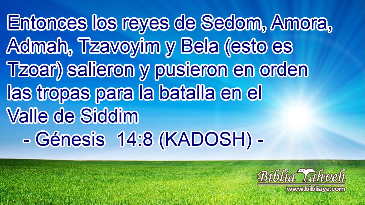  Entonces los reyes de Sedom, Amora, Admah, Tzavoyim y Bela (esto es Tzoar) salieron y pusieron en orden las tropas para la batalla en el Valle de Siddim 
