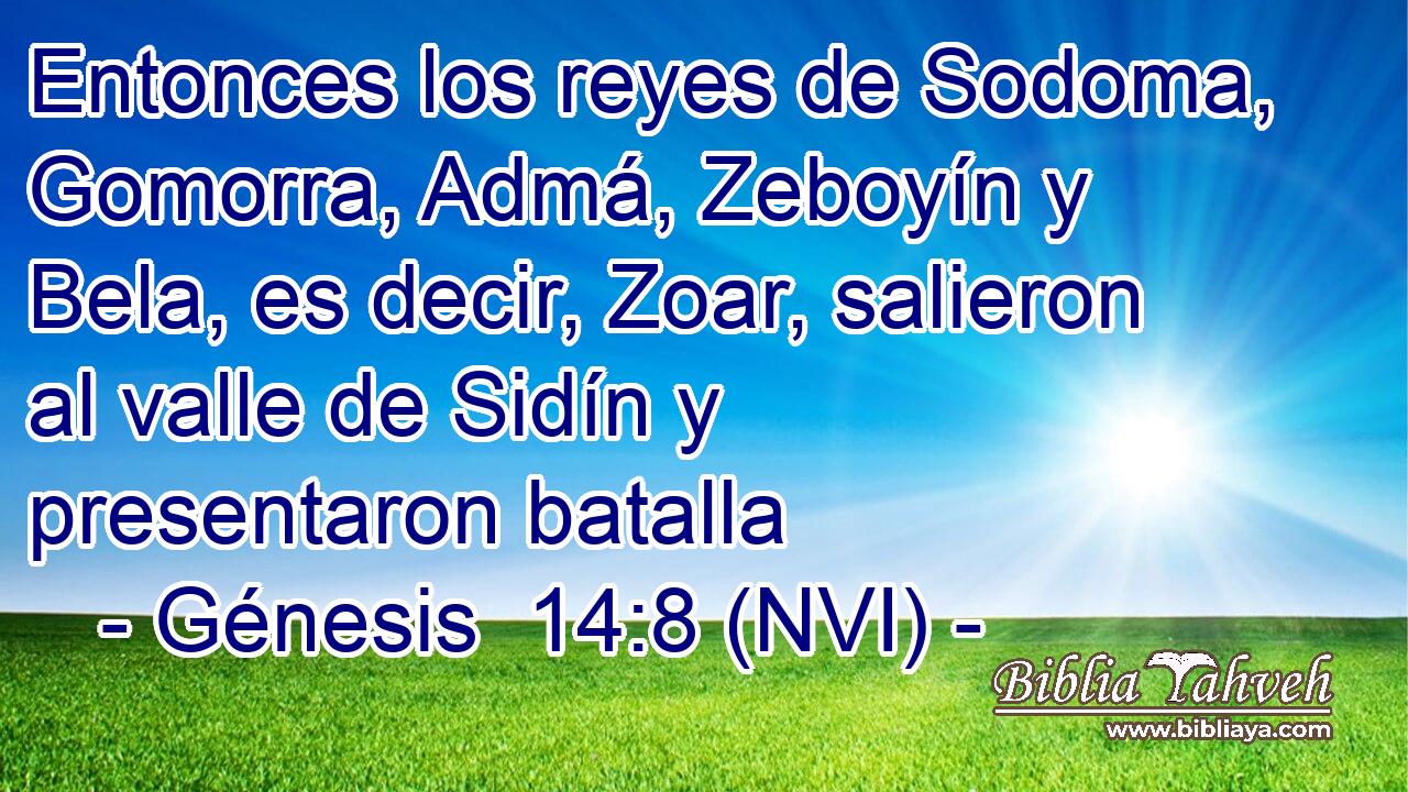  Entonces los reyes de Sodoma, Gomorra, Admá, Zeboyín y Bela, es decir, Zoar, salieron al valle de Sidín y presentaron batalla 