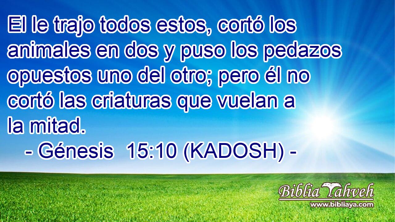  El le trajo todos estos, cortó los animales en dos y puso los pedazos opuestos uno del otro; pero él no cortó las criaturas que vuelan a la mitad. 