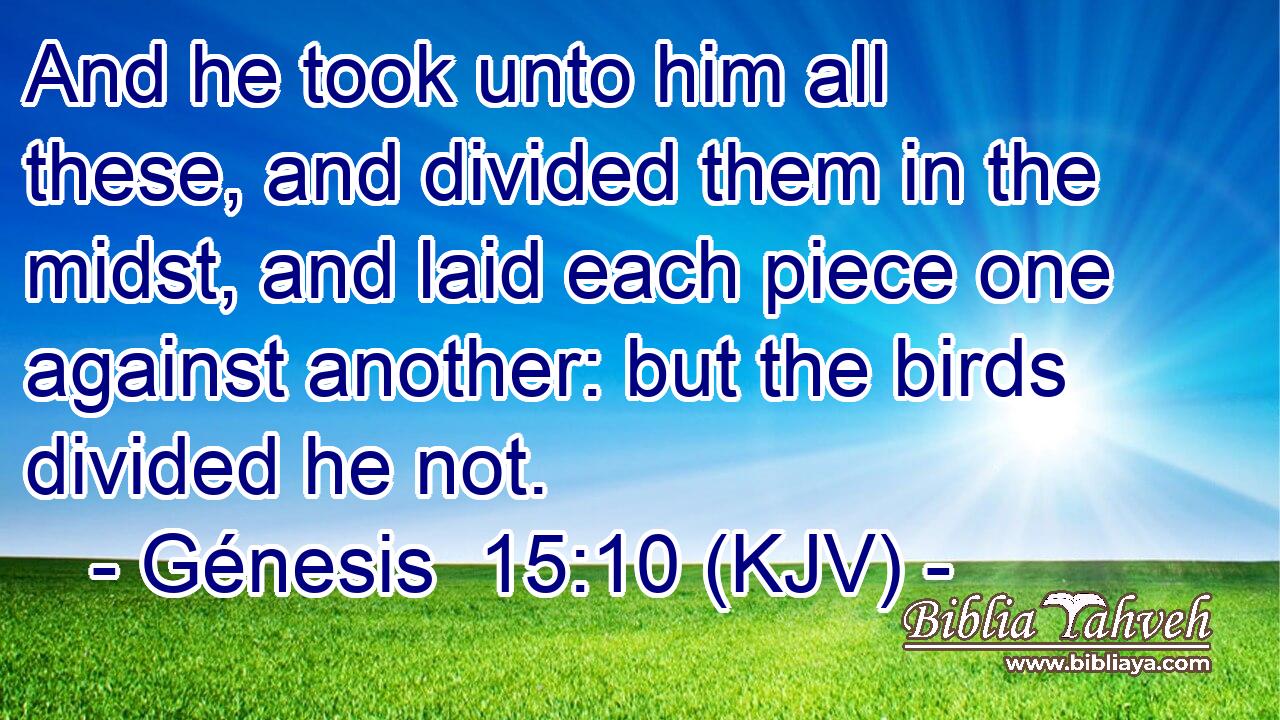 And he took unto him all these, and divided them in the midst, and laid each piece one against another: but the birds divided he not.
