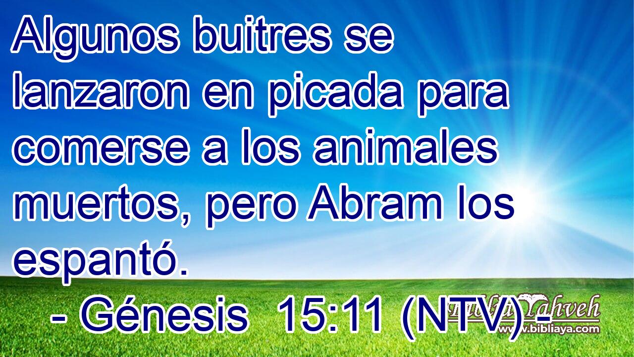 Algunos buitres se lanzaron en picada para comerse a los animales muertos, pero Abram los espantó.