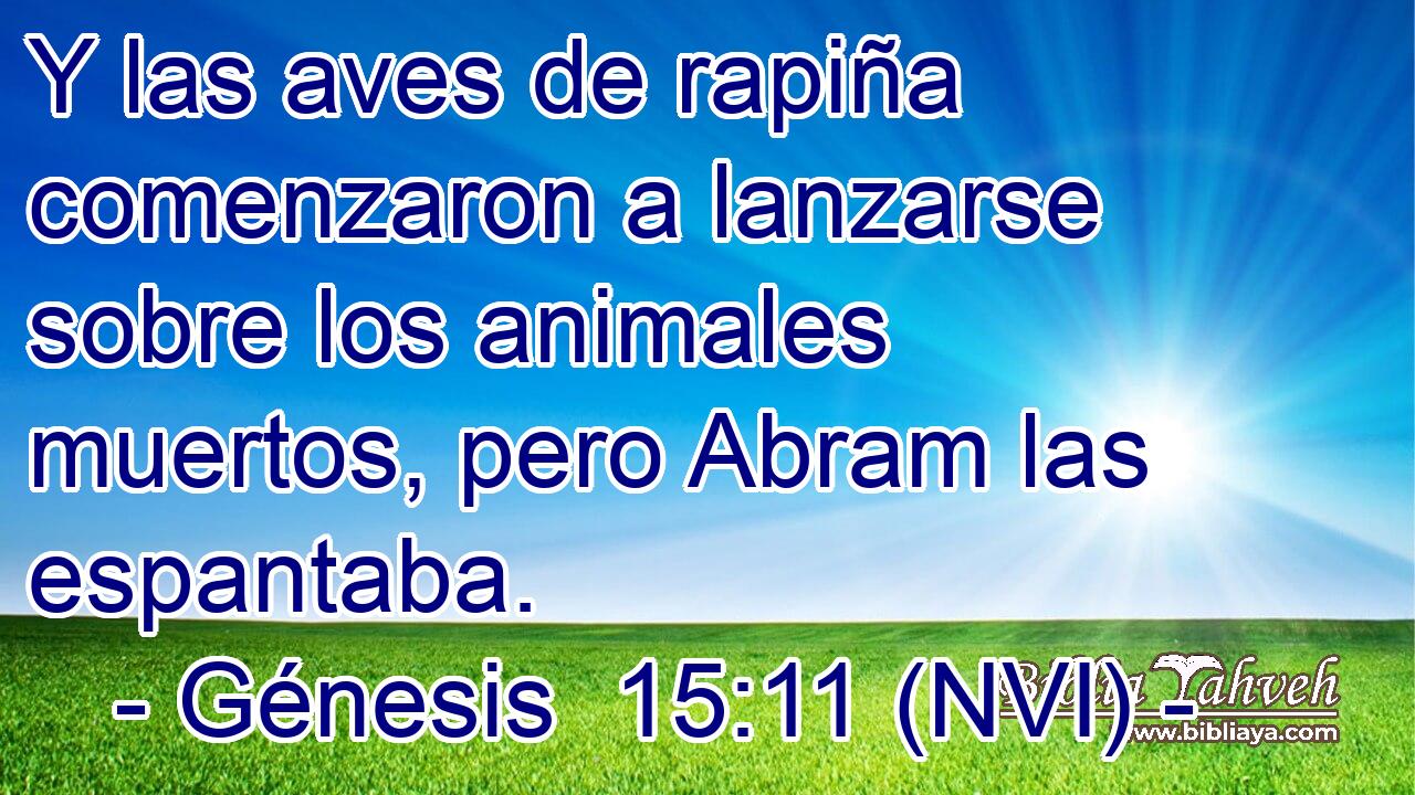  Y las aves de rapiña comenzaron a lanzarse sobre los animales muertos, pero Abram las espantaba. 
