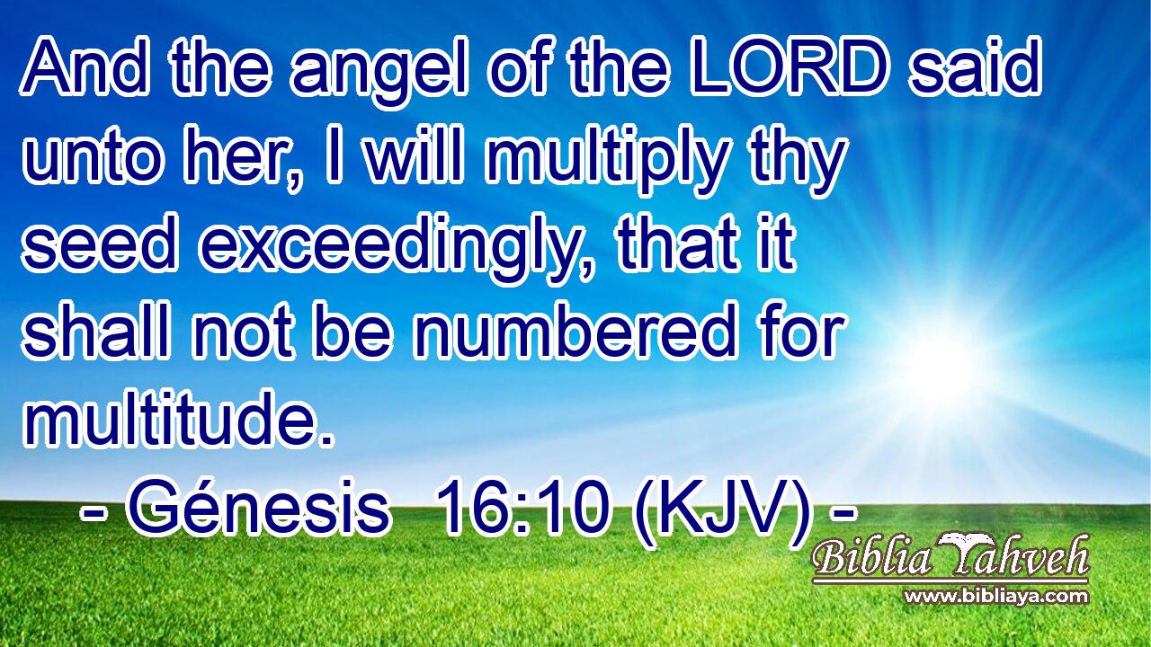 And the angel of the LORD said unto her, I will multiply thy seed exceedingly, that it shall not be numbered for multitude.