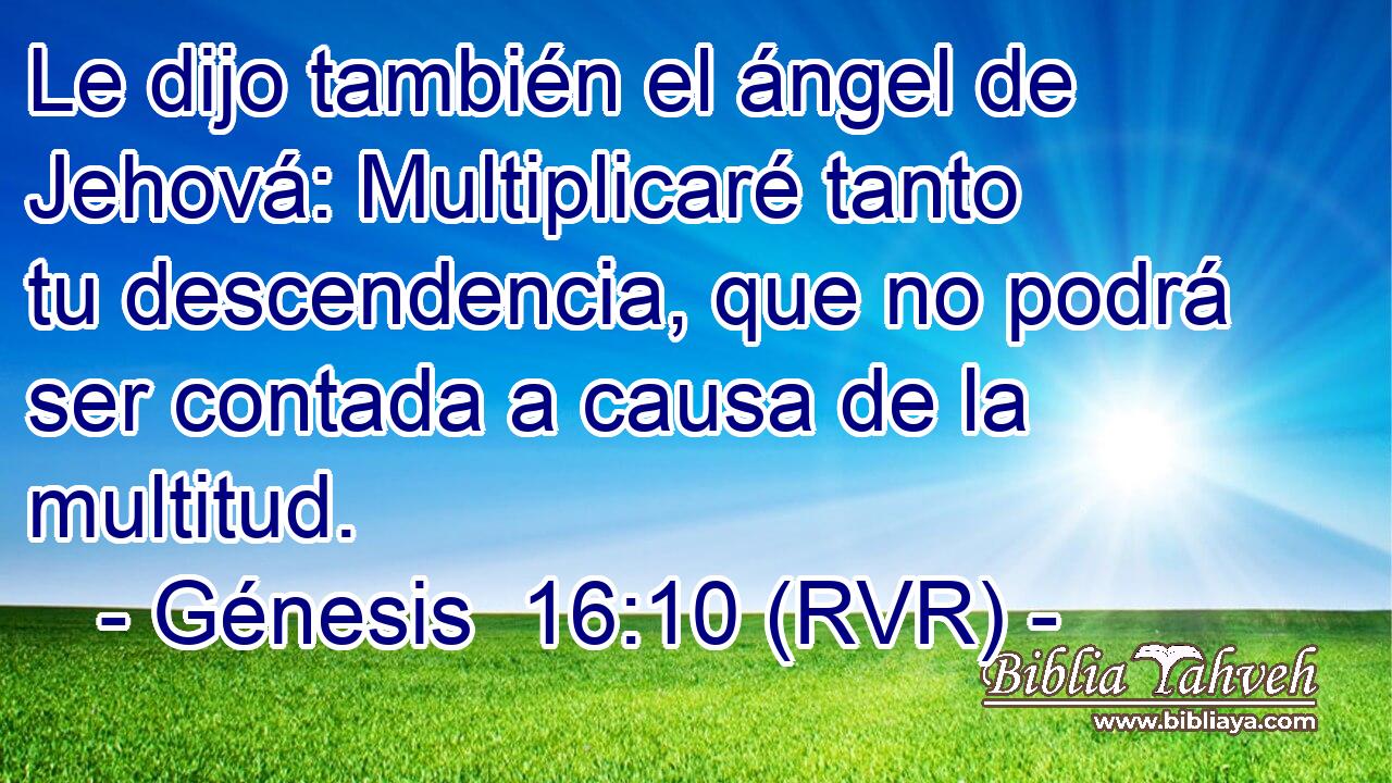 Le dijo también el ángel de Jehová: Multiplicaré tanto tu descendencia, que no podrá ser contada a causa de la multitud.