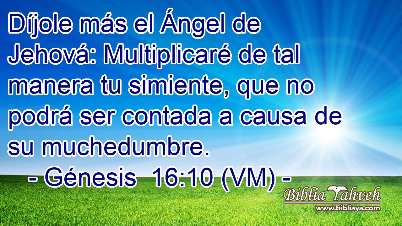  Díjole más el Ángel de Jehová: Multiplicaré de tal manera tu simiente, que no podrá ser contada a causa de su muchedumbre. 
