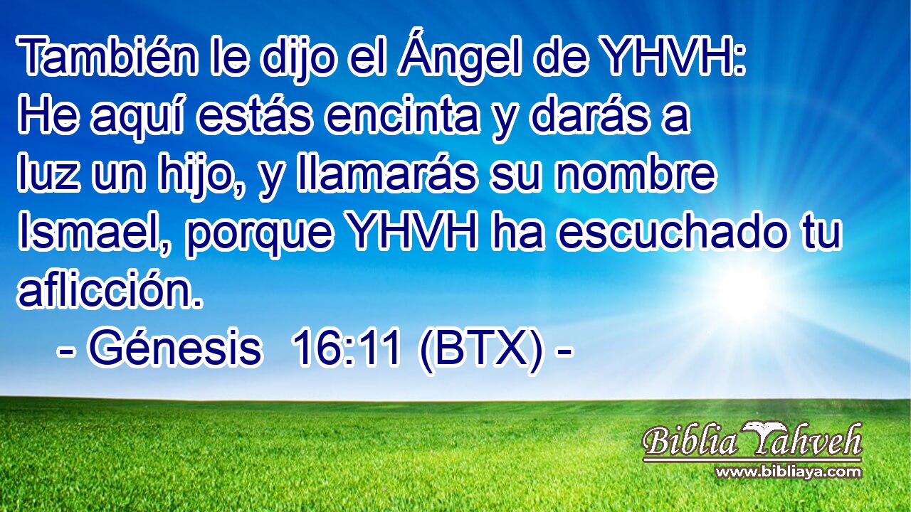 También le dijo el Ángel de YHVH: He aquí estás encinta y darás a luz un hijo, y llamarás su nombre Ismael, porque YHVH ha escuchado tu aflicción.