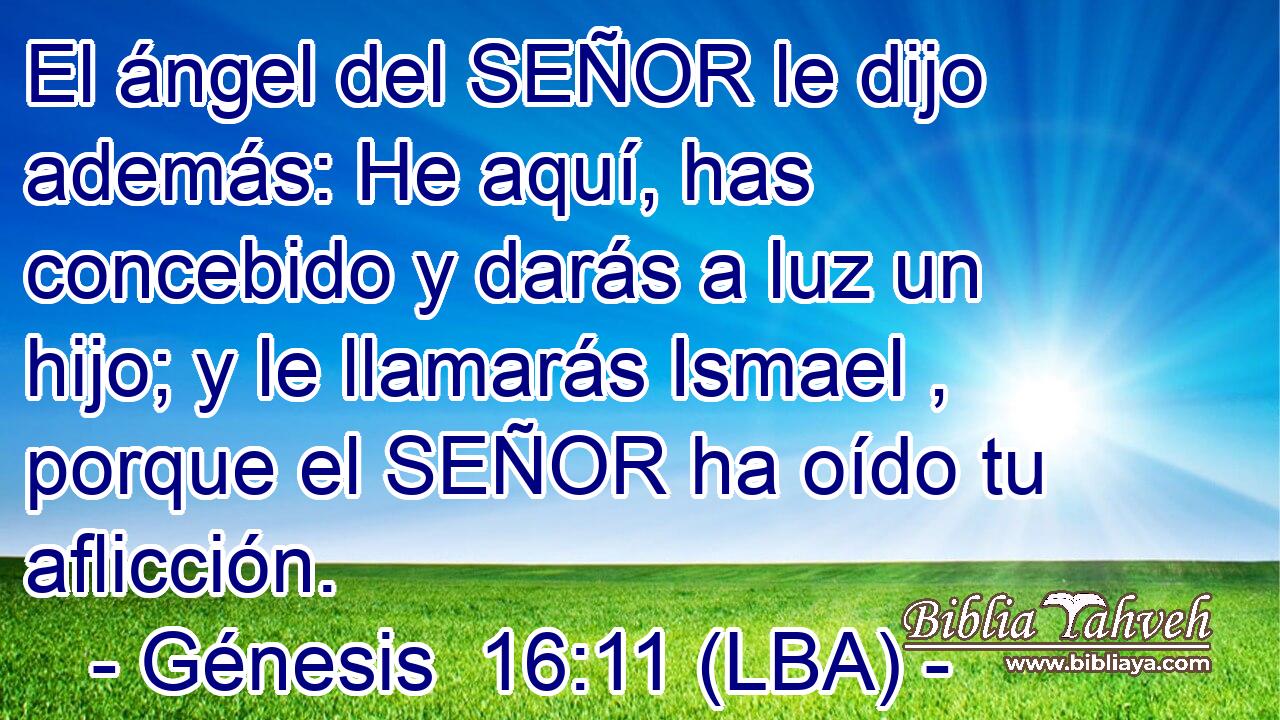 El ángel del SEÑOR le dijo además: He aquí, has concebido y darás a luz un hijo; y le llamarás Ismael , porque el SEÑOR ha oído tu aflicción.