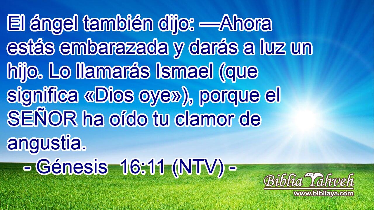 El ángel también dijo: —Ahora estás embarazada y darás a luz un hijo. Lo llamarás Ismael (que significa «Dios oye»), porque el SEÑOR ha oído tu clamor de angustia.
