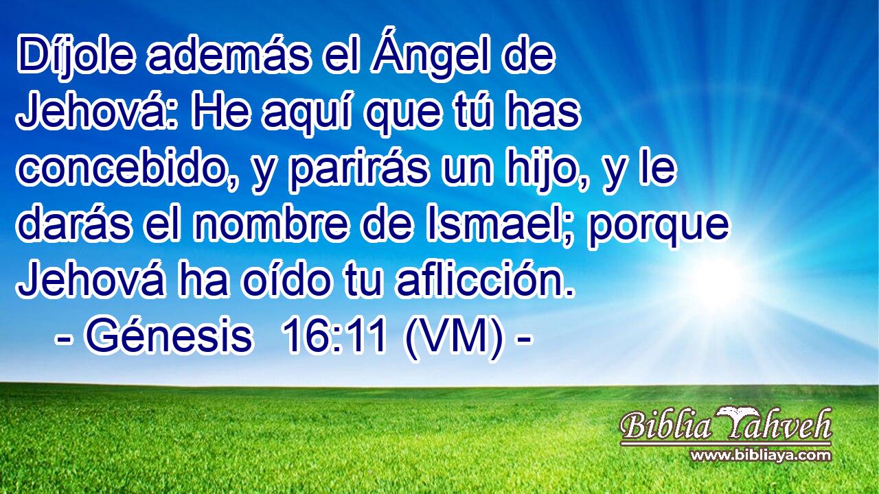  Díjole además el Ángel de Jehová: He aquí que tú has concebido, y parirás un hijo, y le darás el nombre de Ismael; porque Jehová ha oído tu aflicción. 