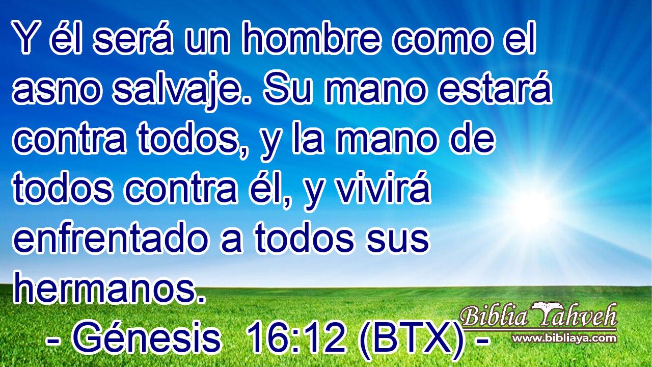 Y él será un hombre como el asno salvaje. Su mano estará contra todos, y la mano de todos contra él, y vivirá enfrentado a todos sus hermanos.