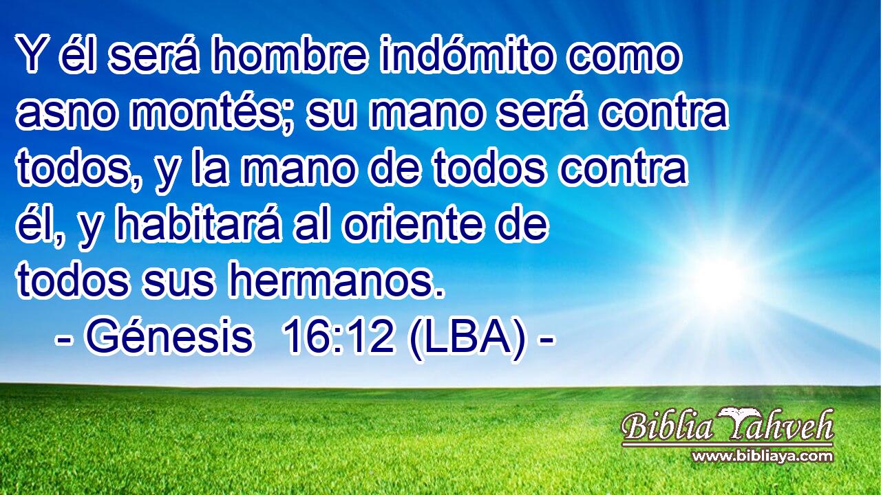 Y él será hombre indómito como asno montés; su mano será contra todos, y la mano de todos contra él, y habitará al oriente de todos sus hermanos.