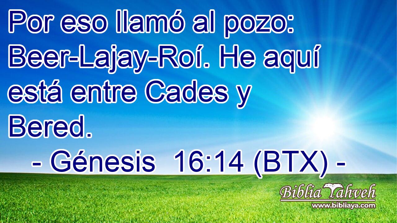 Por eso llamó al pozo: Beer-Lajay-Roí. He aquí está entre Cades y Bered.