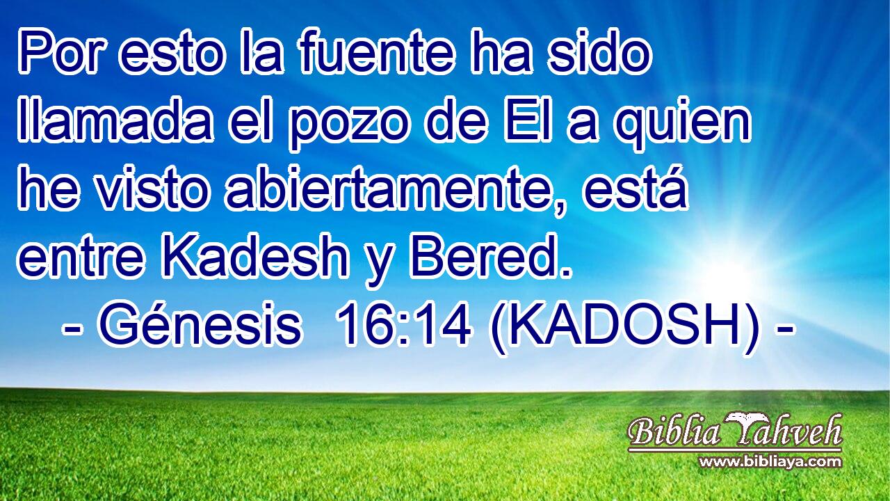  Por esto la fuente ha sido llamada el pozo de El a quien he visto abiertamente, está entre Kadesh y Bered. 