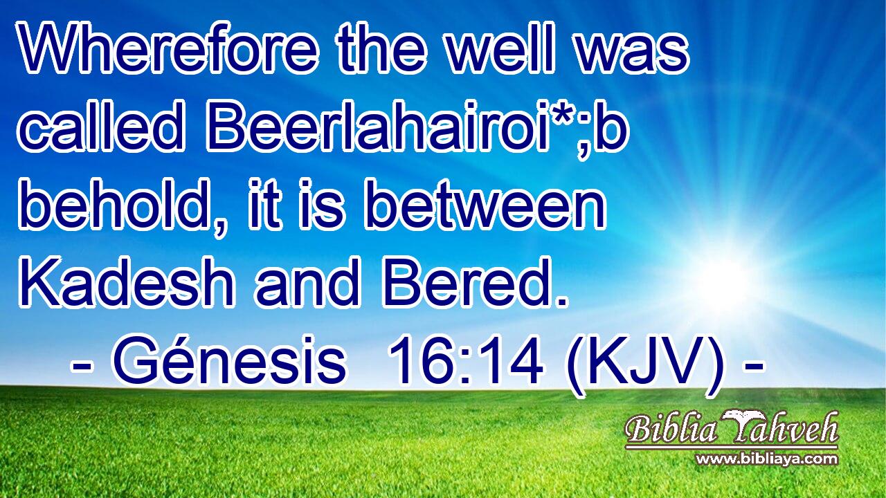 Wherefore the well was called Beerlahairoi*;b behold, it is between Kadesh and Bered.