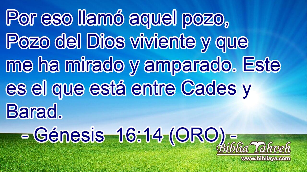  Por eso llamó aquel pozo, Pozo del Dios viviente y que me ha mirado y amparado. Este es el que está entre Cades y Barad. 