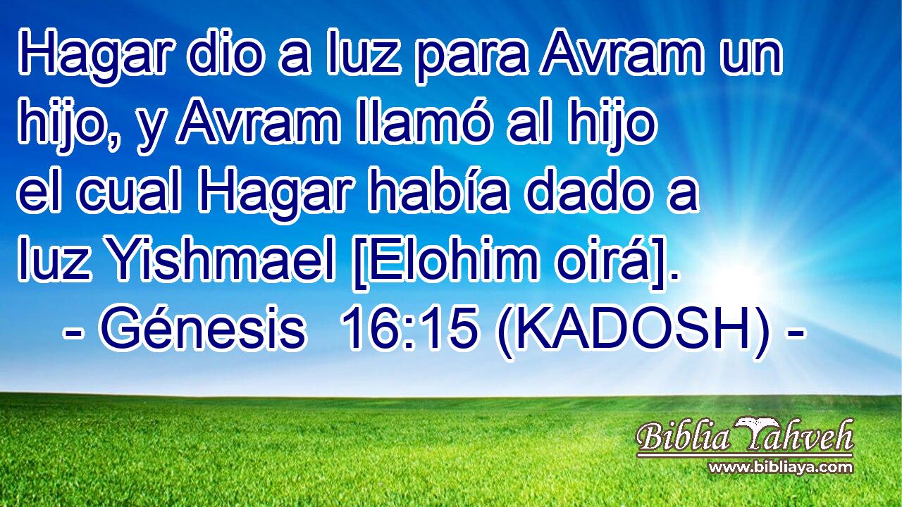  Hagar dio a luz para Avram un hijo, y Avram llamó al hijo el cual Hagar había dado a luz Yishmael [Elohim oirá]. 