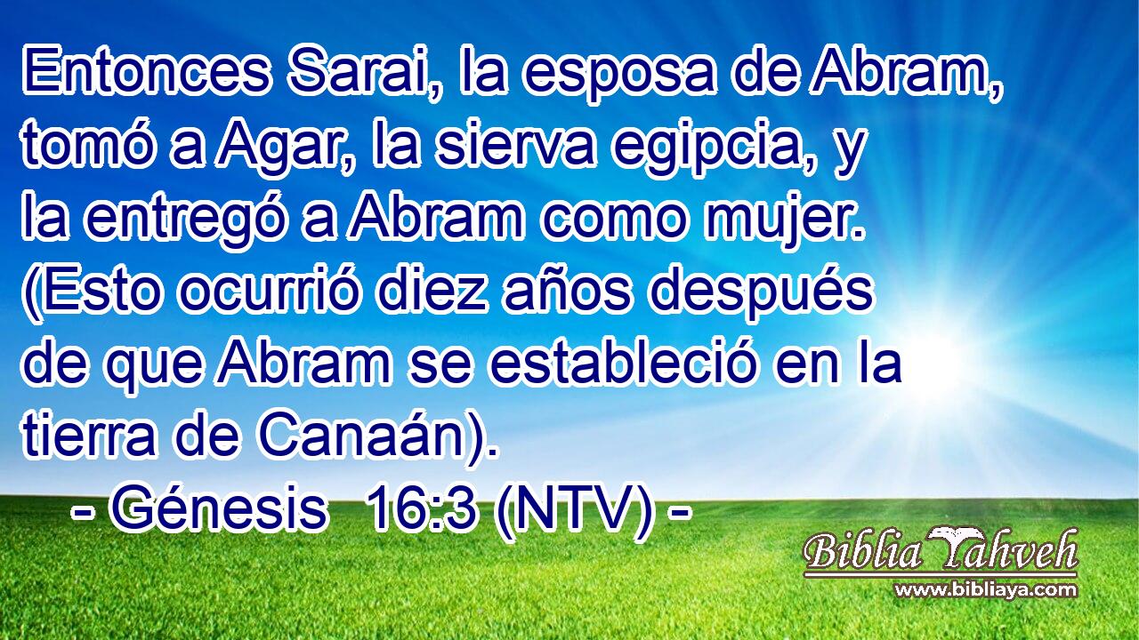 Entonces Sarai, la esposa de Abram, tomó a Agar, la sierva egipcia, y la entregó a Abram como mujer. (Esto ocurrió diez años después de que Abram se estableció en la tierra de Canaán).