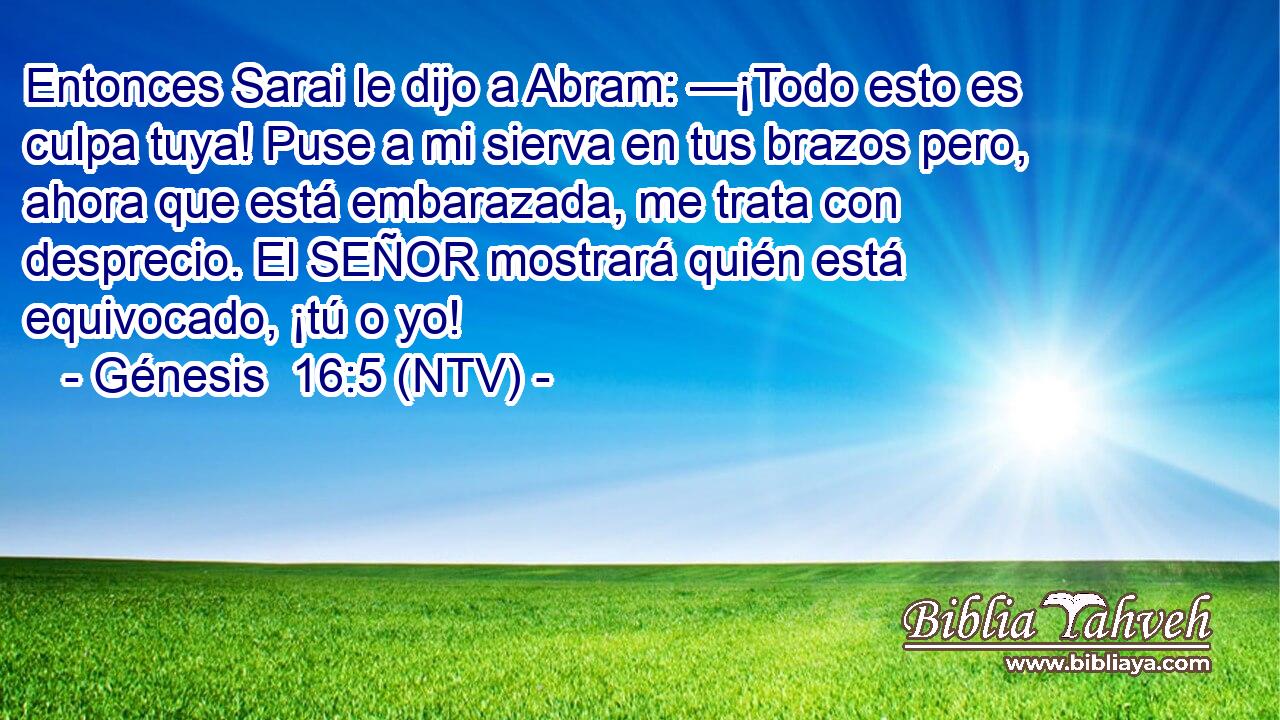 Entonces Sarai le dijo a Abram: —¡Todo esto es culpa tuya! Puse a mi sierva en tus brazos pero, ahora que está embarazada, me trata con desprecio. El SEÑOR mostrará quién está equivocado, ¡tú o yo!