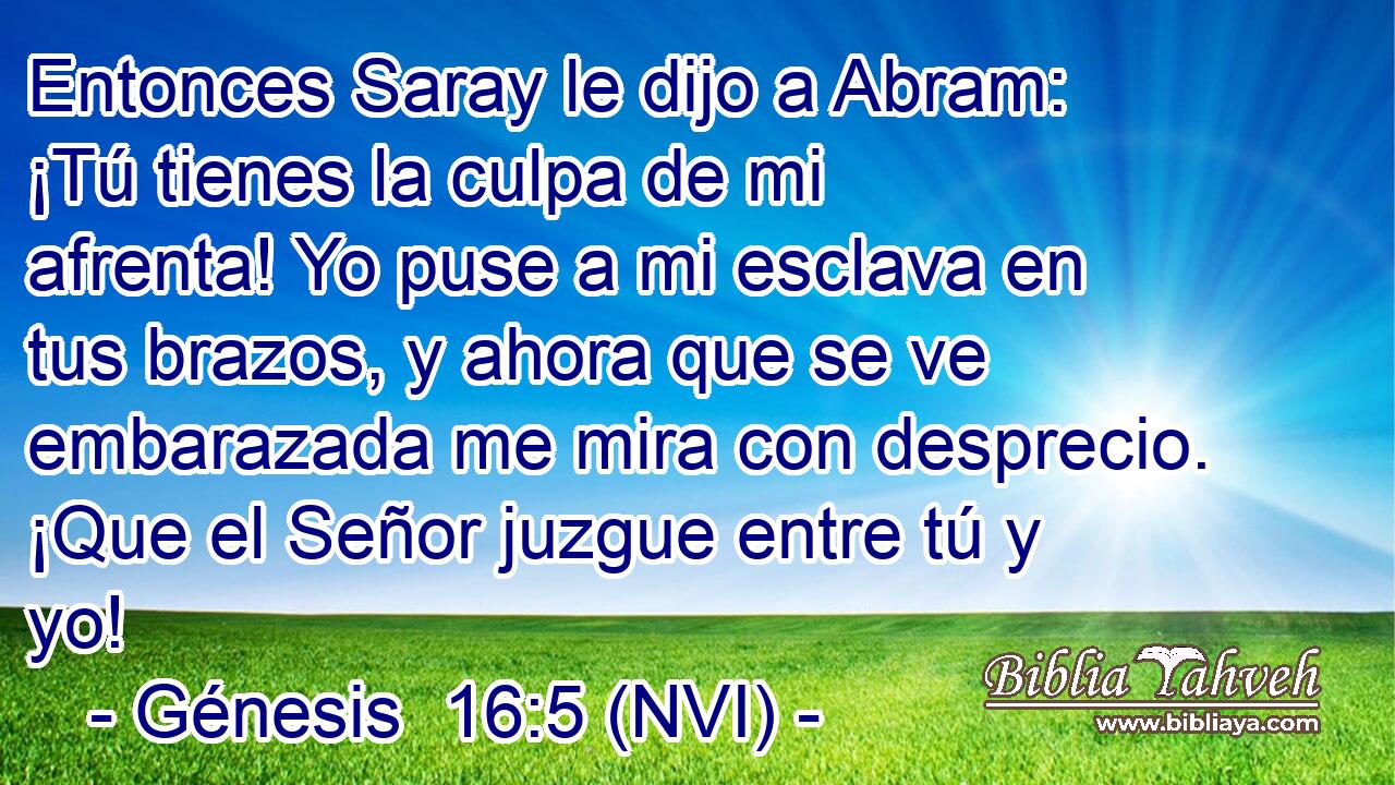  Entonces Saray le dijo a Abram: ¡Tú tienes la culpa de mi afrenta! Yo puse a mi esclava en tus brazos, y ahora que se ve embarazada me mira con desprecio. ¡Que el Señor juzgue entre tú y yo! 
