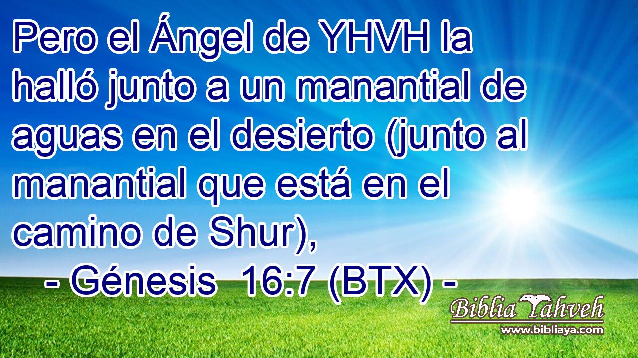 Pero el Ángel de YHVH la halló junto a un manantial de aguas en el desierto (junto al manantial que está en el camino de Shur),