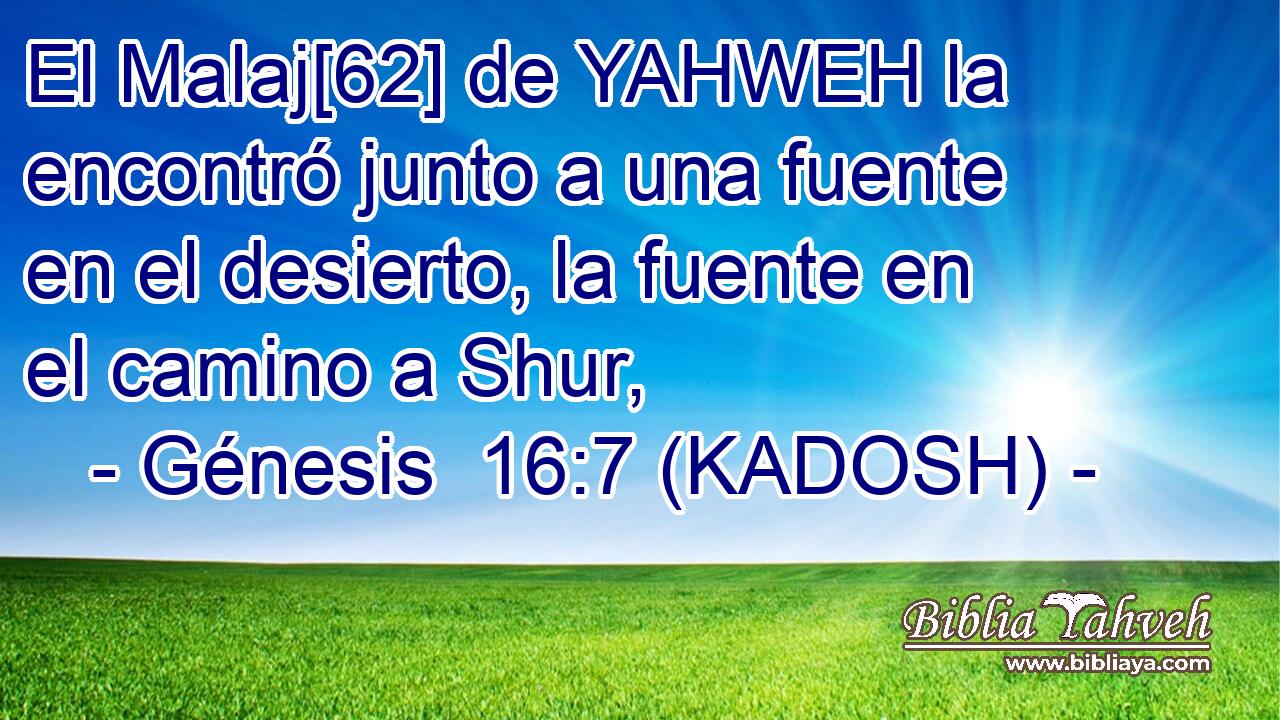  El Malaj[62] de YAHWEH la encontró junto a una fuente en el desierto, la fuente en el camino a Shur, 