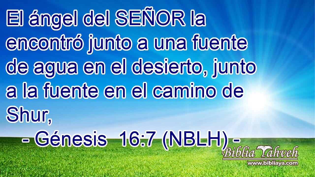  El ángel del SEÑOR la encontró junto a una fuente de agua en el desierto, junto a la fuente en el camino de Shur, 