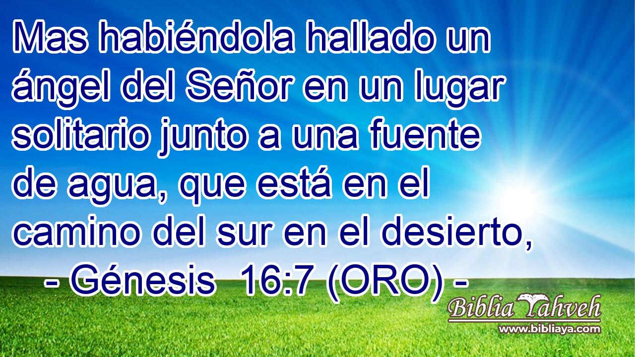  Mas habiéndola hallado un ángel del Señor en un lugar solitario junto a una fuente de agua, que está en el camino del sur en el desierto, 