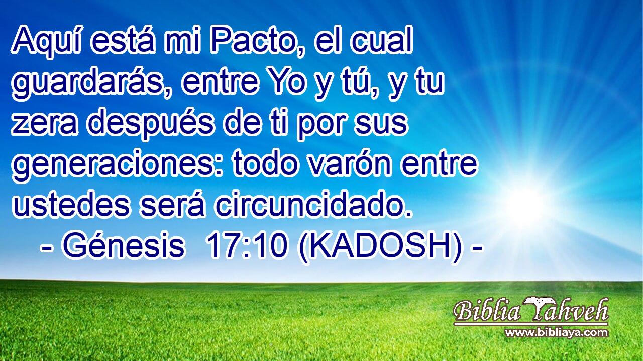  Aquí está mi Pacto, el cual guardarás, entre Yo y tú, y tu zera después de ti por sus generaciones: todo varón entre ustedes será circuncidado. 