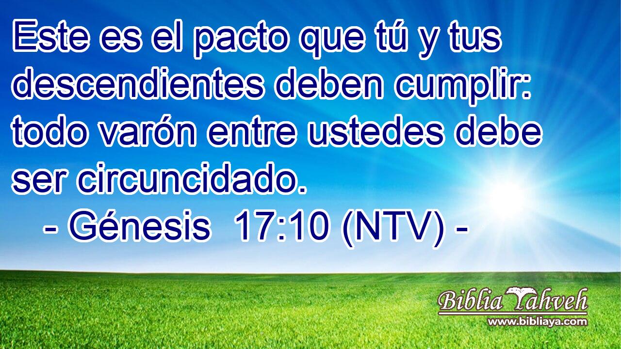 Este es el pacto que tú y tus descendientes deben cumplir: todo varón entre ustedes debe ser circuncidado.