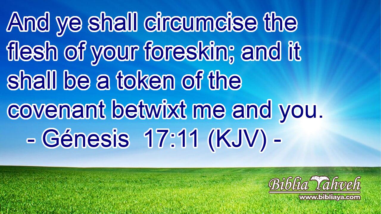 And ye shall circumcise the flesh of your foreskin; and it shall be a token of the covenant betwixt me and you.