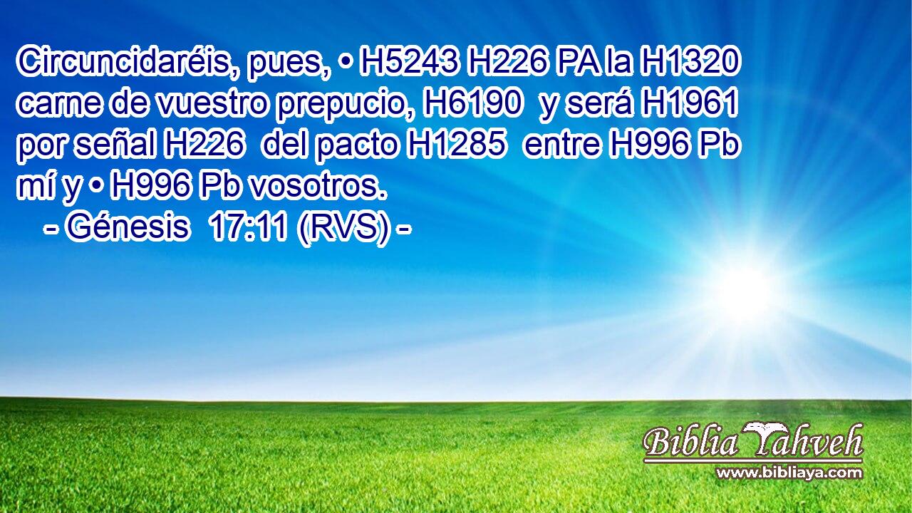Circuncidaréis, pues, • H5243 H226 PA la H1320  carne de vuestro prepucio, H6190  y será H1961  por señal H226  del pacto H1285  entre H996 Pb mí y • H996 Pb vosotros. 