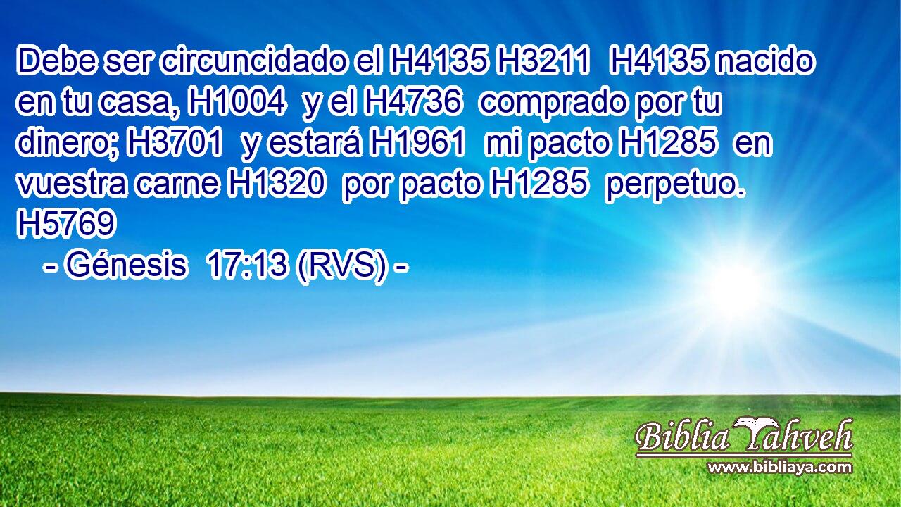 Debe ser circuncidado el H4135 H3211  H4135 nacido en tu casa, H1004  y el H4736  comprado por tu dinero; H3701  y estará H1961  mi pacto H1285  en vuestra carne H1320  por pacto H1285  perpetuo. H5769  