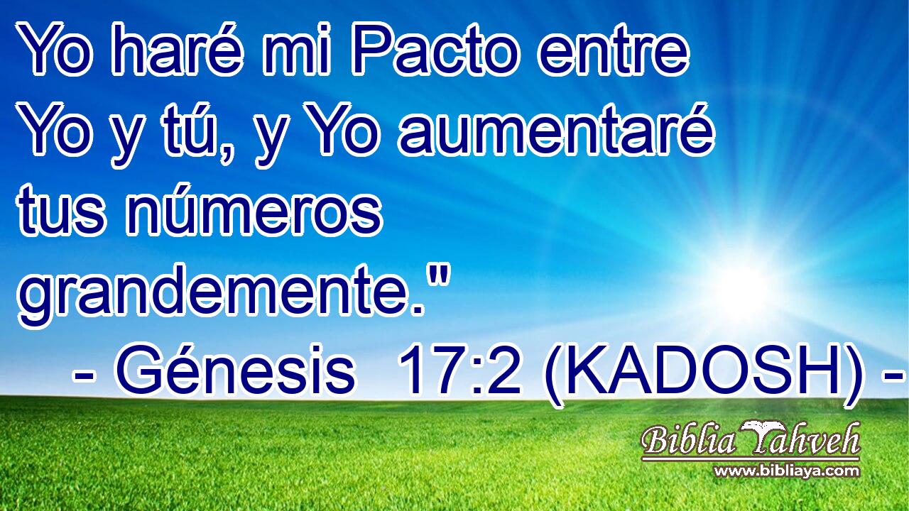  Yo haré mi Pacto entre Yo y tú, y Yo aumentaré tus números grandemente.