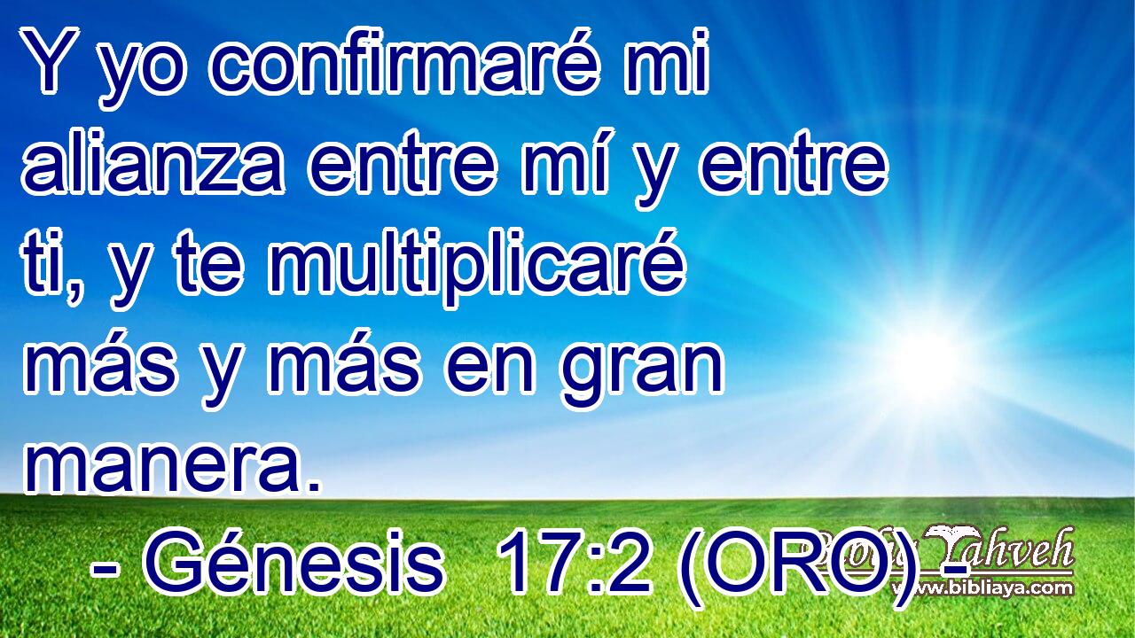  Y yo confirmaré mi alianza entre mí y entre ti, y te multiplicaré más y más en gran manera. 
