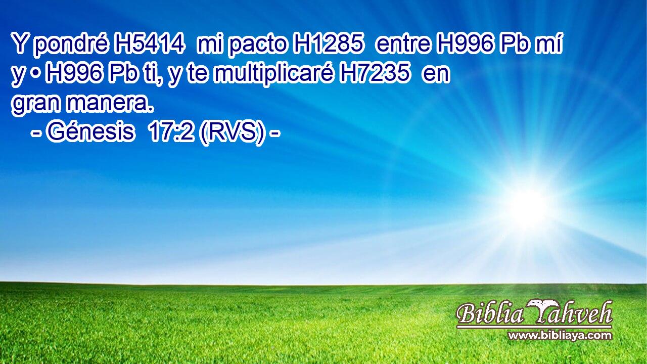 Y pondré H5414  mi pacto H1285  entre H996 Pb mí y • H996 Pb ti, y te multiplicaré H7235  en gran manera. 