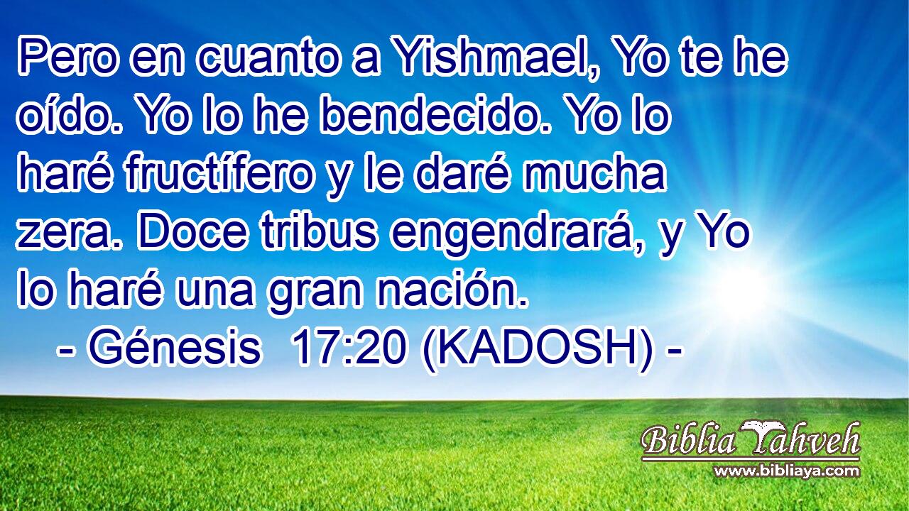  Pero en cuanto a Yishmael, Yo te he oído. Yo lo he bendecido. Yo lo haré fructífero y le daré mucha zera. Doce tribus engendrará, y Yo lo haré una gran nación. 
