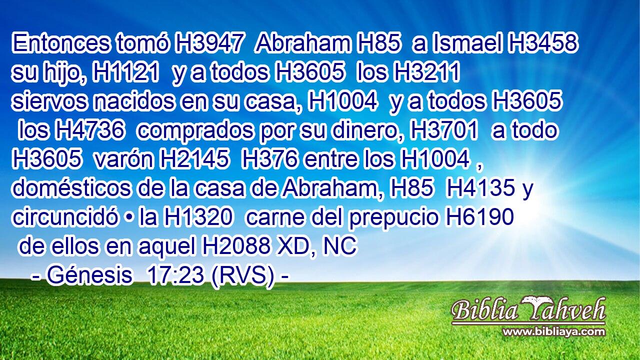 Entonces tomó H3947  Abraham H85  a Ismael H3458  su hijo, H1121  y a todos H3605  los H3211  siervos nacidos en su casa, H1004  y a todos H3605  los H4736  comprados por su dinero, H3701  a todo H3605  varón H2145  H376 entre los H1004 ,  domésticos de la casa de Abraham, H85  H4135 y circuncidó • la H1320  carne del prepucio H6190  de ellos en aquel H2088 XD, NC