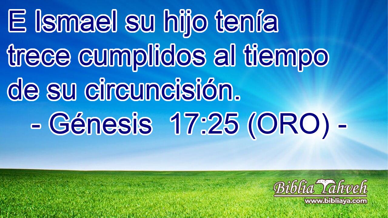  E Ismael su hijo tenía trece cumplidos al tiempo de su circuncisión. 