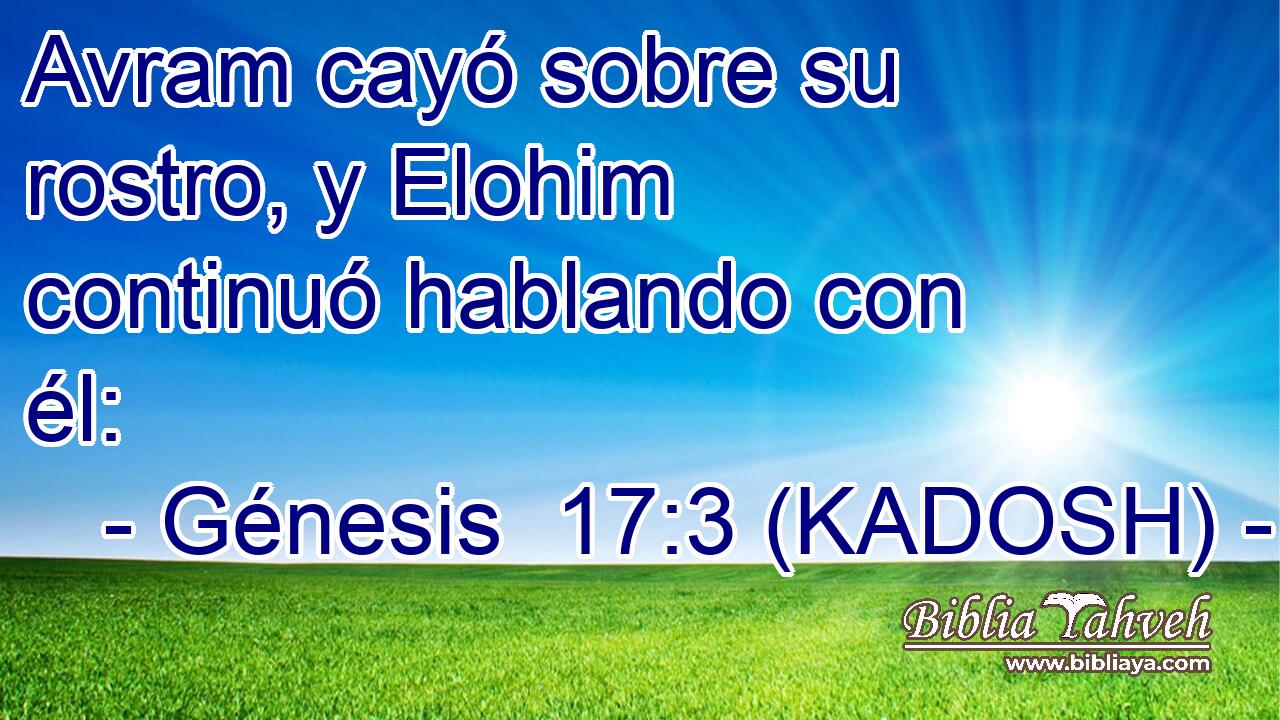  Avram cayó sobre su rostro, y Elohim continuó hablando con él: 