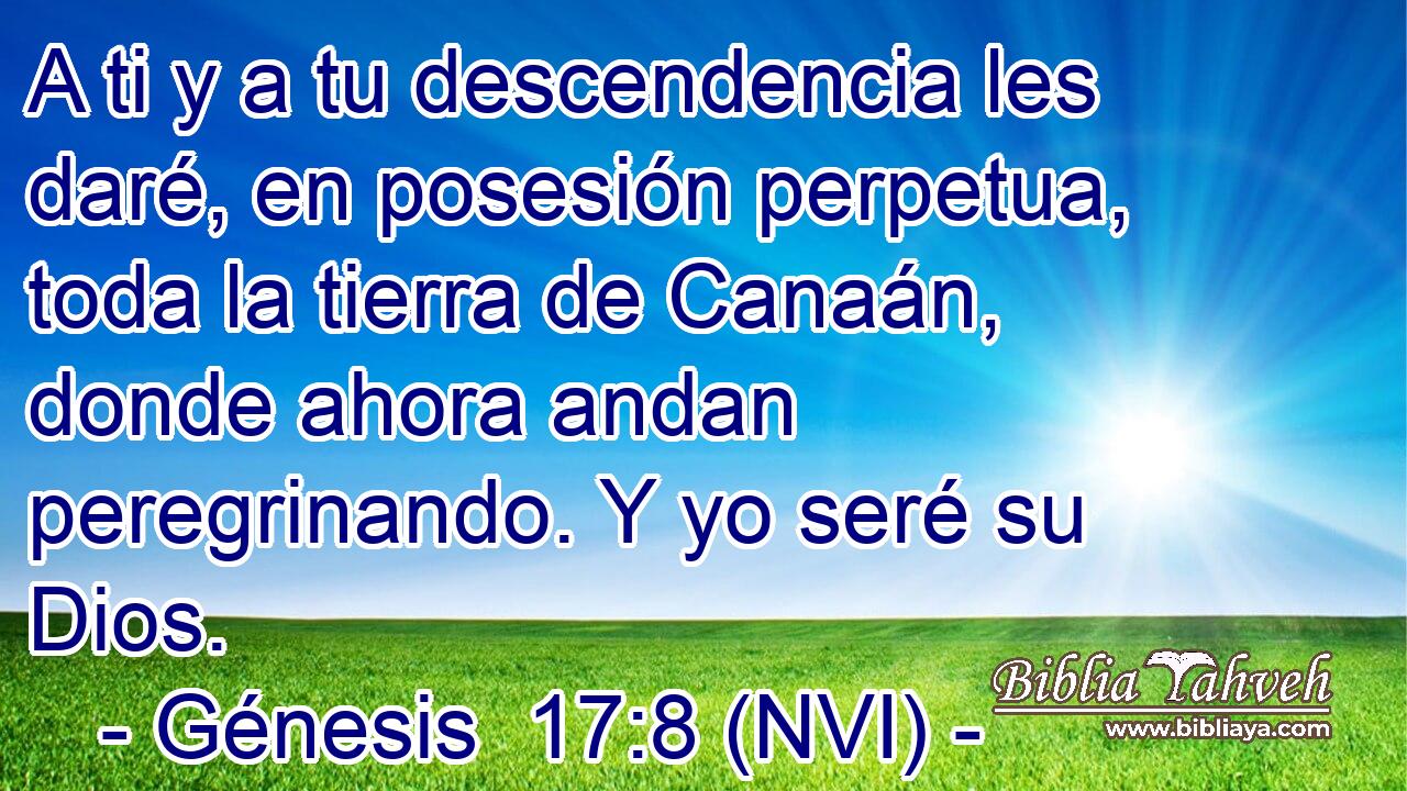  A ti y a tu descendencia les daré, en posesión perpetua, toda la tierra de Canaán, donde ahora andan peregrinando. Y yo seré su Dios. 