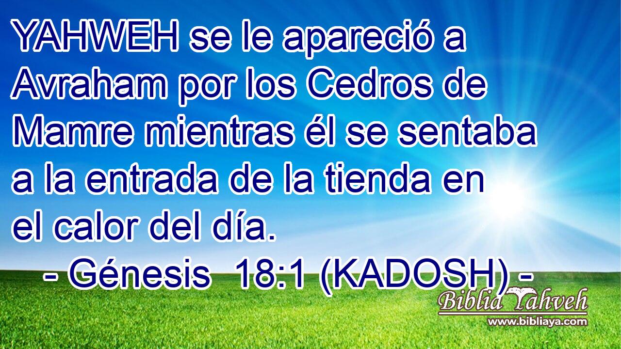  YAHWEH se le apareció a Avraham por los Cedros de Mamre mientras él se sentaba a la entrada de la tienda en el calor del día. 