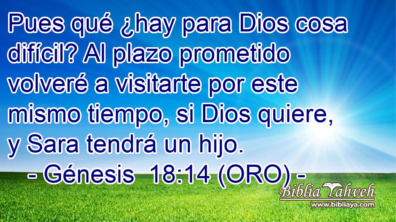  Pues qué ¿hay para Dios cosa difícil? Al plazo prometido volveré a visitarte por este mismo tiempo, si Dios quiere, y Sara tendrá un hijo. 