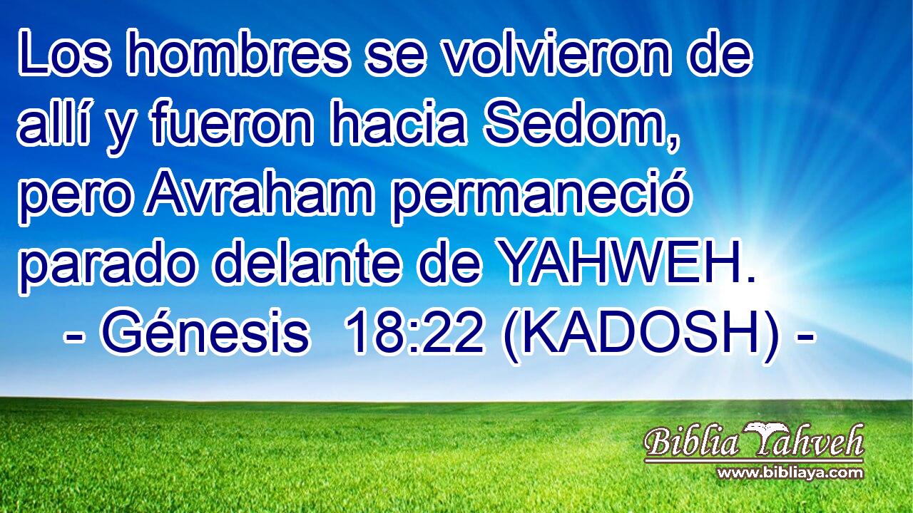  Los hombres se volvieron de allí y fueron hacia Sedom, pero Avraham permaneció parado delante de YAHWEH. 