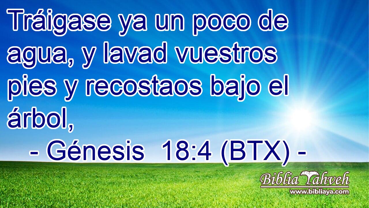 Tráigase ya un poco de agua, y lavad vuestros pies y recostaos bajo el árbol,
